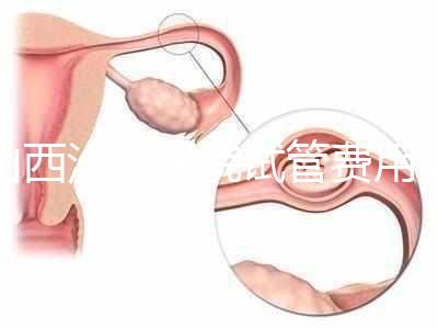 山西汾陽醫院試管費用清單公布,2024年生殖科助孕成功率公布