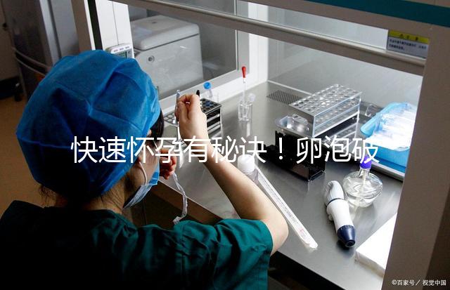 快速懷孕有秘訣！卵泡破裂后多久同房是關鍵