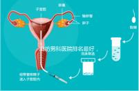 廊坊男科醫(yī)院排名最好，醫(yī)院出爐！廣陽這些機(jī)構(gòu)可以排隊(duì)