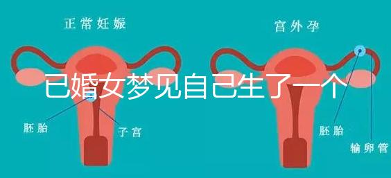 已婚女夢(mèng)見自己生了一個(gè)男孩有預(yù)示,是不是胎夢(mèng)顯而易見