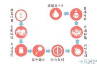 廣醫(yī)三院取精多少錢大揭秘,一萬都包括什么速看