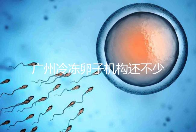 廣州冷凍卵子機構還不少，但國內凍卵這些條件你達成了嗎？