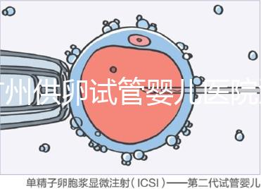 廣州供卵試管嬰兒醫(yī)院匯總,真實案例告訴你廣東哪家最好