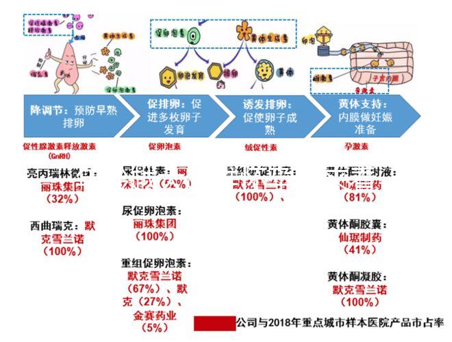 年齡越大越難懷孕！來看看44歲試管嬰兒的成功率有多少？