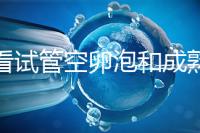 速看試管空卵泡和成熟卵泡能否區(qū)分開,這兩大技巧學起來
