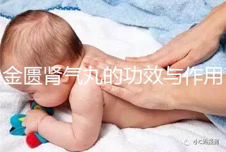 金匱腎氣丸的功效與作用適用人群(金匱腎氣丸的功效與作用適用人群一)