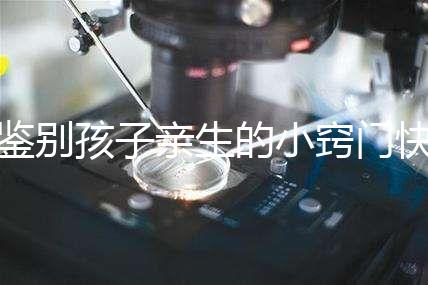 鑒別孩子親生的小竅門快收藏，取牙刷樣本準不準分情況