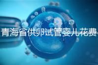 青海省供卵試管嬰兒花費明細表一覽，一次成功助孕費用最低