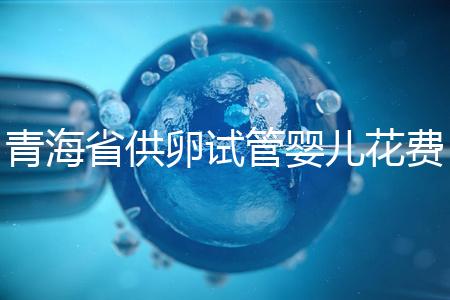青海省供卵試管嬰兒花費明細表一覽,一次成功助孕費用最低
