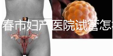 長春市婦產醫院試管怎樣問題解答，助孕成功率、費用可作參考