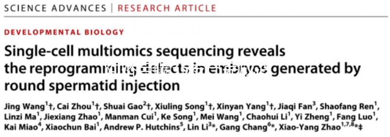 阿嬌自曝35歲已完成冷凍卵子，為何明星都選擇凍卵？