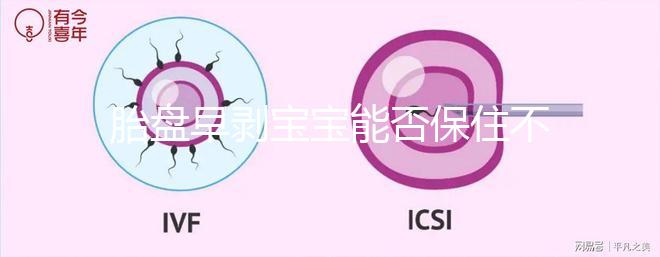 胎盤早剝寶寶能否保住不一定！及時治療和護理很重要