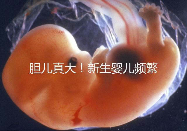 膽兒真大！新生嬰兒頻繁打嗝不要游泳以免嗆水