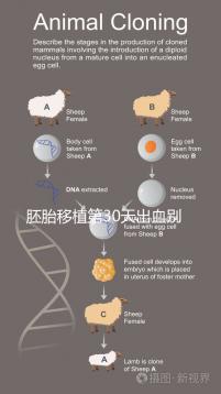 胚胎移植第30天出血?jiǎng)e緊張,4個(gè)方法助你成功保胎