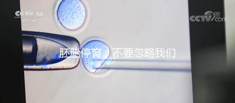 胚胎停育，不要忽略我們身邊的“隱形殺手”