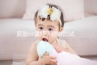 胚胎or囊胚？你做的試管嬰兒，移植的是第幾天的胚胎？