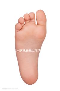 老人家說后壁上懷頂胃是男孩,進來看看民間說法準不準