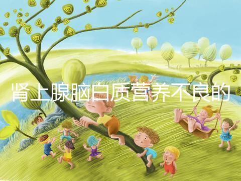 腎上腺腦白質(zhì)營養(yǎng)不良的遺傳概率，如何避免遺傳？