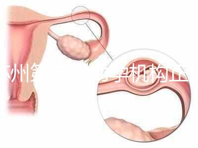蘇州第三代助孕機構正規可靠嗎？實地考察才為真