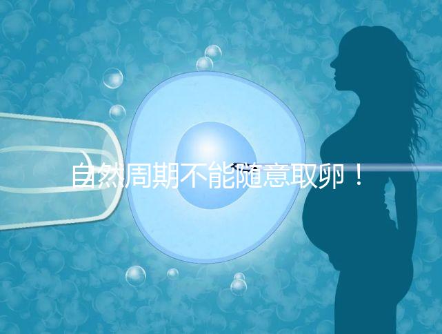 自然周期不能隨意取卵！滿足3點要求才能順利進行