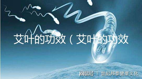 艾葉的功效(艾葉的功效與作用的功能與主治)