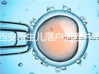 西安新生兒落戶流程并不難,內附各區辦理地址快人一步