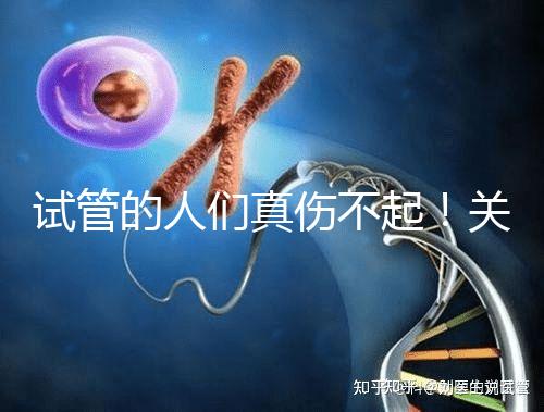 試管的人們真?zhèn)黄穑£P于養(yǎng)囊的成功率這些你得知道