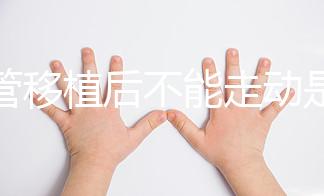 試管移植后不能走動(dòng)是謠言！適量運(yùn)動(dòng)能幫助胚胎著床