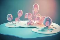 試管移植懷孕2個(gè)月后，還能不能吃酸筍田螺？