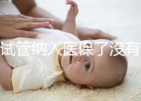 試管納入醫保了沒有