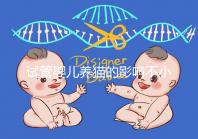 試管嬰兒養(yǎng)貓的影響不小，這三大危害一文說清楚