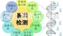 試管嬰兒準備足、心態好是關鍵,柬埔寨取卵1次就夠1支足球隊