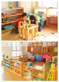 試管嬰兒胚胎冷凍費解析，一年下來大概要花這么多