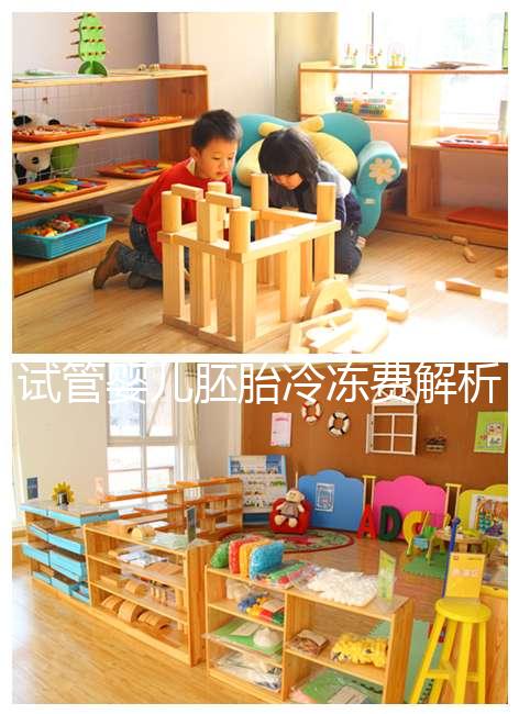 試管嬰兒胚胎冷凍費解析，一年下來大概要花這么多