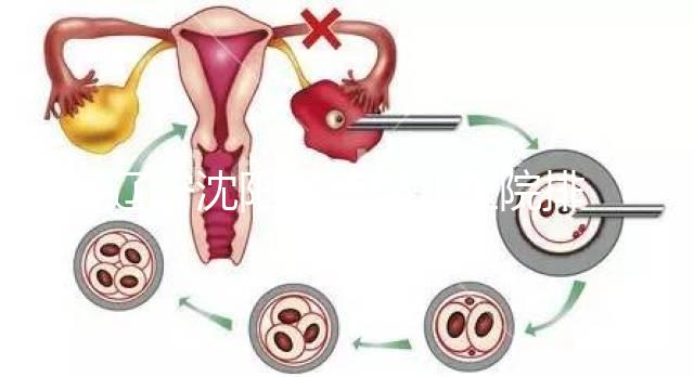 遼寧沈陽(yáng)試管嬰兒醫(yī)院排名匯總新鮮出爐：這14家值得一看！