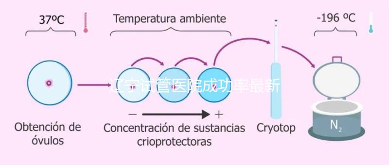 遼寧試管醫院成功率最新前十排名流出，盛京醫院竟錯失榜首