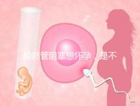 輸卵管阻塞想懷孕，是不是只能做試管嬰兒？