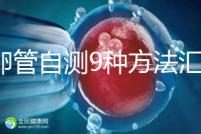 輸卵管自測(cè)9種方法匯總,試紙+晨尿怎么用最準(zhǔn)有竅門