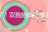 賺了!雙胞胎做三維彩超檢查報(bào)告不僅準(zhǔn)確,還拒絕雙收費(fèi)