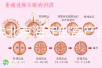 誰(shuí)說(shuō)北京海淀剖宮產(chǎn)自付費(fèi)用高，了解2024年生育保險(xiǎn)報(bào)銷比例？