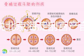 誰說北京海淀剖宮產自付費用高，了解2024年生育保險報銷比例？