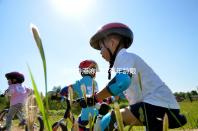 誰(shuí)說(shuō)香港凍卵沒(méi)有年齡限制,48歲能不能做?