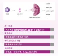 馬賽克胚胎并非全都不正常,單獨(dú)移植風(fēng)險更小