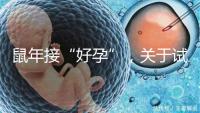 鼠年接“好孕”，關于試管嬰兒取卵的那些事兒！