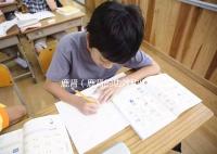 鹿腎(鹿腎的功效和作用)