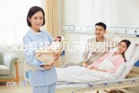 5cb囊胚第幾天能測出看移植成功后續發育怎么樣,不懂戳