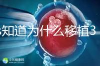 45s知道為什么移植30天后孕反突然消失，胎兒停止有答案嗎？