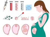 6個卵泡你還敢等？就算試管嬰兒也難一次成功！
