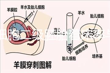 6細(xì)胞二級(jí)胚胎著床率與養(yǎng)囊成功率解讀，拿不準(zhǔn)移植與否戳