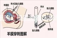 6細胞二級胚胎著床率與養(yǎng)囊成功率解讀，拿不準移植與否戳